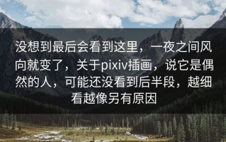 没想到最后会看到这里，一夜之间风向就变了，关于pixiv插画，说它是偶然的人，可能还没看到后半段，越细看越像另有原因