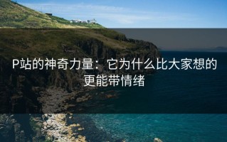 P站的神奇力量：它为什么比大家想的更能带情绪