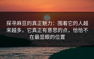 探寻麻豆的真正魅力：围着它的人越来越多，它真正有意思的点，恰恰不在最显眼的位置
