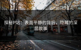 探秘P站：表面平静的背后，隐藏的深层故事