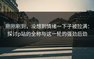 刚刚刷到，没想到情绪一下子被拉满：探讨p站的全称与这一轮的强劲后劲