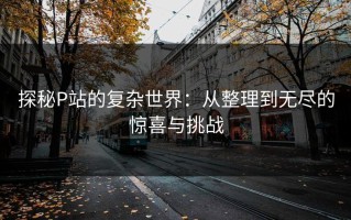 探秘P站的复杂世界：从整理到无尽的惊喜与挑战