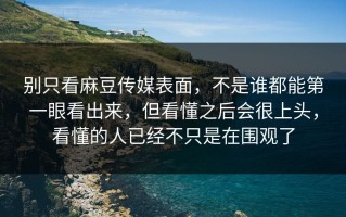 别只看麻豆传媒表面，不是谁都能第一眼看出来，但看懂之后会很上头，看懂的人已经不只是在围观了