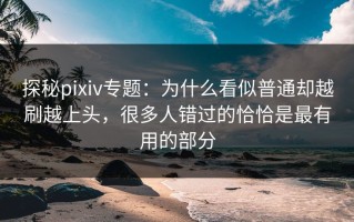 探秘pixiv专题：为什么看似普通却越刷越上头，很多人错过的恰恰是最有用的部分