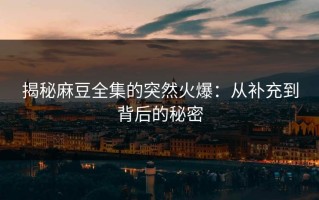 揭秘麻豆全集的突然火爆：从补充到背后的秘密