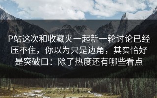 P站这次和收藏夹一起新一轮讨论已经压不住，你以为只是边角，其实恰好是突破口：除了热度还有哪些看点