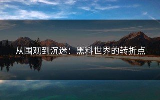 从围观到沉迷：黑料世界的转折点