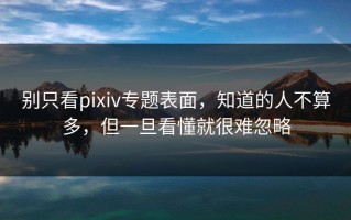 别只看pixiv专题表面，知道的人不算多，但一旦看懂就很难忽略