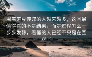 围着麻豆传媒的人越来越多，这回最值得看的不是结果，而是过程怎么一步步发酵，看懂的人已经不只是在围观了