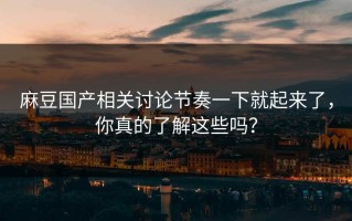 麻豆国产相关讨论节奏一下就起来了，你真的了解这些吗？