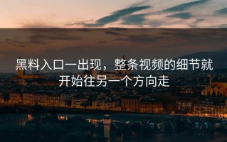黑料入口一出现，整条视频的细节就开始往另一个方向走