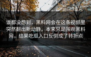 谁都没想到，黑料网会在这条视频里突然翻出新动静，本来只是围观黑料网，结果吃瓜入口反倒成了转折点