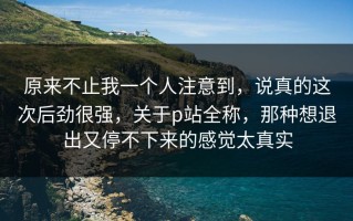 原来不止我一个人注意到，说真的这次后劲很强，关于p站全称，那种想退出又停不下来的感觉太真实