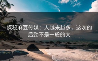 探秘麻豆传媒：人越来越多，这次的后劲不是一般的大