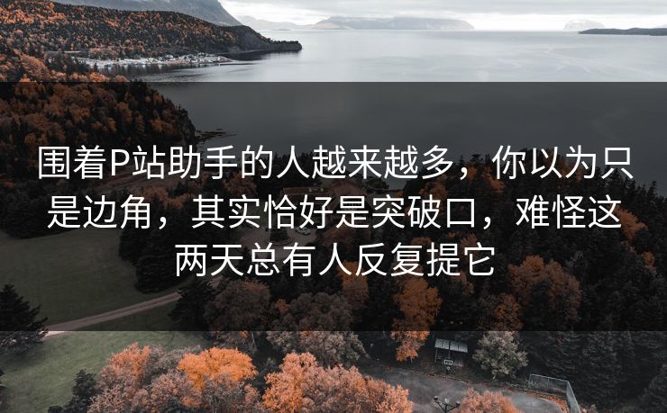 围着P站助手的人越来越多，你以为只是边角，其实恰好是突破口，难怪这两天总有人反复提它-第1张图片-p站助手短视频 - p站搬运工影视网
