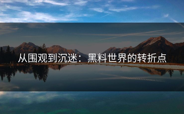 从围观到沉迷：黑料世界的转折点-第1张图片-p站助手短视频 - p站搬运工影视网